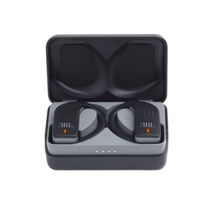 Jbl endurance hotsell peak case cover